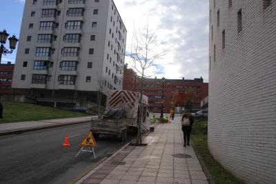 Прикрепленное изображение: IMG_1973.jpg